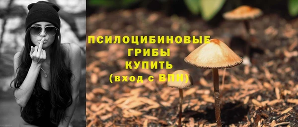 PSILOCYBIN Алзамай