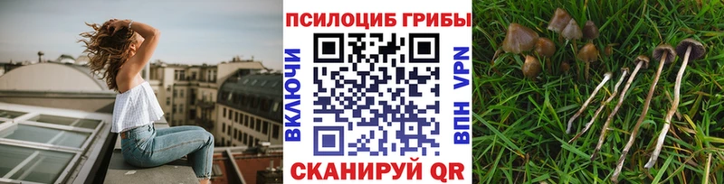 Галлюциногенные грибы Cubensis Котельники